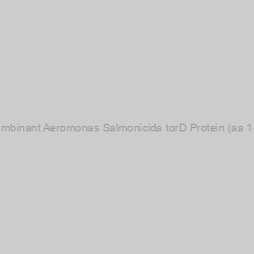 Image of Recombinant Aeromonas Salmonicida torD Protein (aa 1-214)